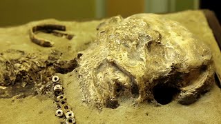 Откуда мы родом. История человечества | Настоящая история