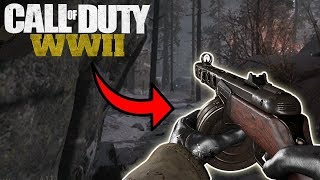 CALL OF DUTY WW2 NO RECOIL PPSH-41CRONSMAX