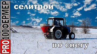 Подкормка пшеницы по снегу РУМом. Эксперимент.