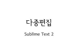 Sublime Text 다중편집 (Multiple Selection)