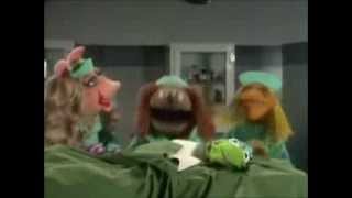 The Muppets: Veterinarian's Hospital (Kermit)