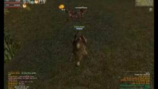 Archlord Cheater