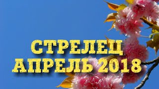 Гороскоп таро на апрель 2018. Стрелец. Таро скрытой реальности.