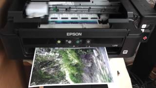 EPSON L210 photo printing  A4