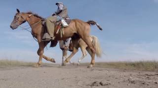 Pointing Dogs: Prairie Chicken Championship Part 2