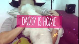 Chubby & Cookie greeting Daddy home