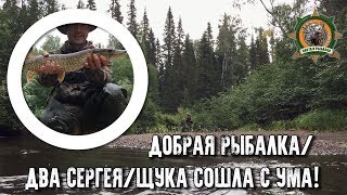 Добрая рыбалка в глухой тайге/Щука сошла с ума!!!