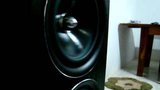 Pure Acoustics Proxima -  Bass i love you