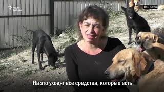 Приют для животных Анны Веселовской