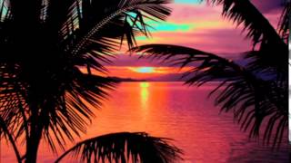 La Zumbera ( Andry J remix )