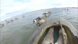 Goose Layout