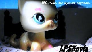 LPS: Лишь бы музыка звучала.. серия 13