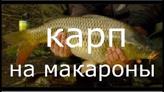 Ловим карпа осенью на макароны .
