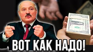 Началось! Что творится в Беларуси? Все в шоке от действий Лукашенко!