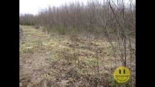 Охота на зайца с гончими 1.11.13 - Hunting the hare with dogs 1.11.13