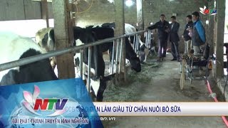 Cựu chiến binh giáo dân làm giàu từ chăn nuôi bò sữa