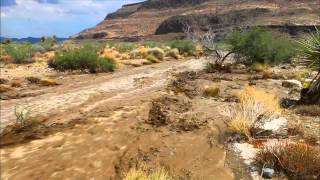 How Would You Survive If Caught In Sinking Quicksand?