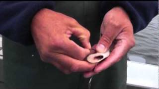 How to Rig a Cut Plug Herring