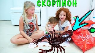 ? СКОРПИОН? напал на моего Реборна | сериал КУКЛА РЕБОРН КУКЛА | ПИКНИК ДОМА | ЖИВАЯ КУКЛА