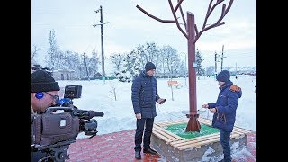Солнечное дерево ASolarTree с. Белозерье Черкасская обл.