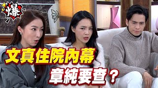 《多情大爆爆》多情城市 EP348 文真住院內幕 章純要查？