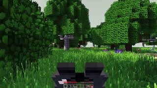 Release trailer -- The Birdwatching Mod