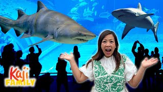 ALONE in Japan with SHARKS!