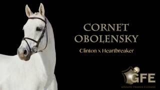 CORNET OBOLENSKY*GFE 2017