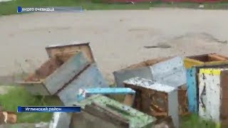 «Кусачая» авария в Башкирии: после ДТП пчёлы нападали на людей