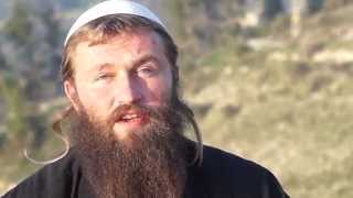 How to Tu B'Shvat