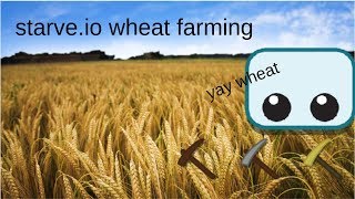 building big wheat farm starve.io