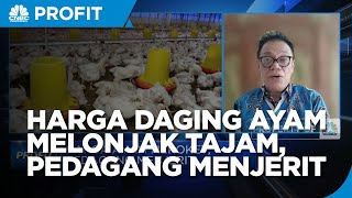 Peternak Tak Untung Meski Harga Daging Ayam Meroket, Kenapa?