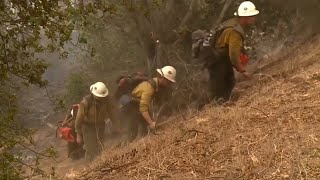 Waldbrände in Kalifornien: Tausend Hektar Land zerstört