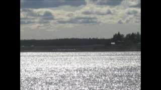 Tuula Rajala- Haaveilua