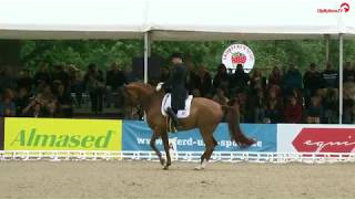 Frederic Wandres | Preis des Helenenhofes | Deutsches Spring- und Dressur- Derby