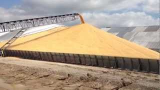 1 Million Bushels of Corn!!!!!