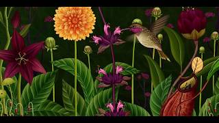 Botanica