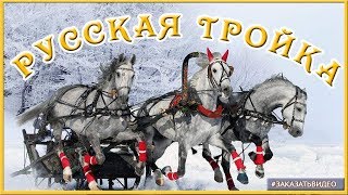 ❄️ Зима Русская тройка❄️  Футаж для видеомонтажа ❄️