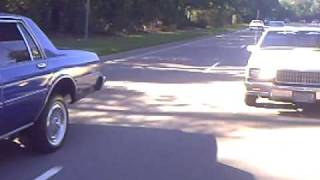 CAROLINA SWANGIN(everyone's favorite video)