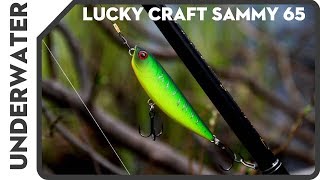 Lucky Craft Sammy 65