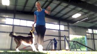 Miss Lilli's RC training - a summary by Jenny Damm