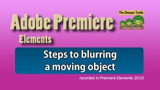 Premiere Elements - Steps to blurring a moving object
