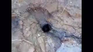 Por sismo de 7.2 nace Ojo de Agua en Llano Grande, Pinotepa Nacional Oaxaca