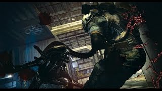 Aliens: Colonial Marines - Stasis Interrupted - Asylum