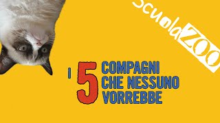 I 5 COMPAGNI CHE NESSUNO VORREBBE - #ScuolaZoo