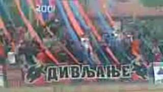 Divlja telad