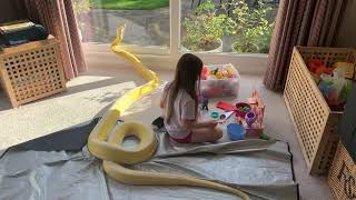16ft Reticulated Python gate crashes tea party. Tickles host.
