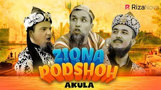 Akula - Ziqna podshoh (hajviy ko'rsatuv)