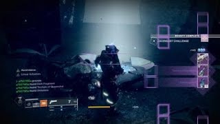 Destiny 2- Ascendant Challenge