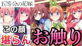 【五等分の花嫁】お触りし放題の神ゲーが降臨!!反応がエロすぎる件 【ビナイレ】